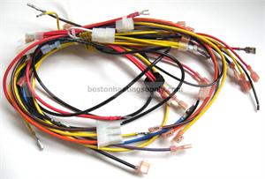 Laars R2028001 Wire Harness