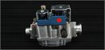 Eternal, 194140038 Air Ratio Valve ( Gas Valve ) 