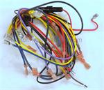 Laars R2028003 - Wiring Harness for the JVT